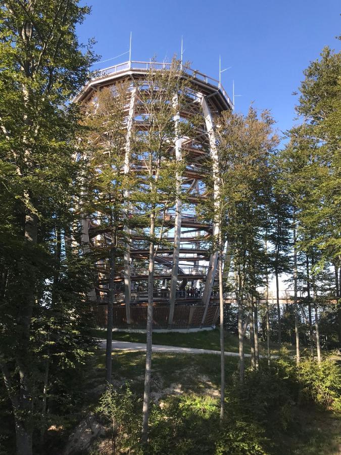 Apartment Parkvilla Traunsee Altmünster Εξωτερικό φωτογραφία