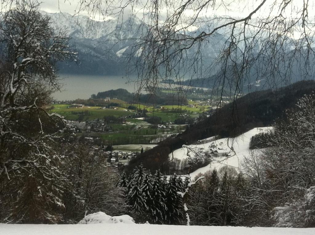 Apartment Parkvilla Traunsee Altmünster Εξωτερικό φωτογραφία